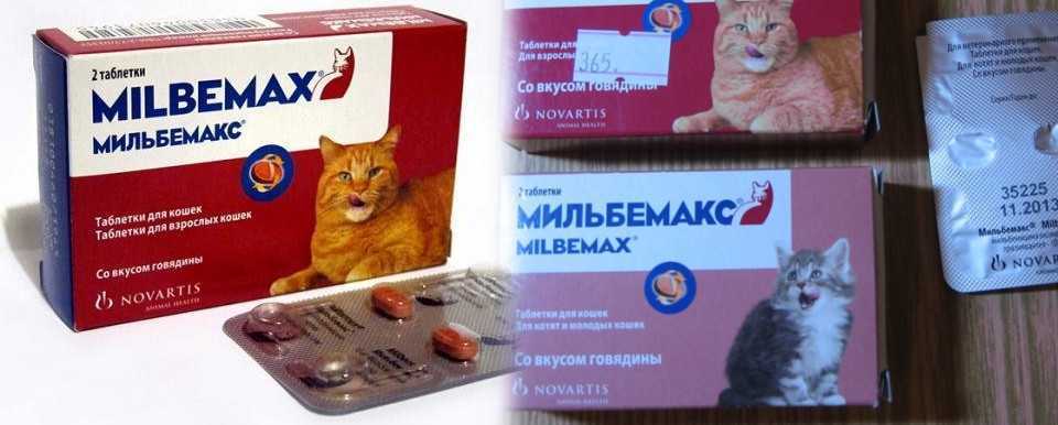 Novartis мильбемакс таблетки для взрослых кошек в городе петрозаводск