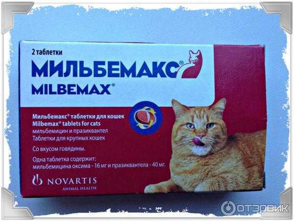 Novartis мильбемакс таблетки для котят и молодых кошек - купить , скидки, цена, отзывы, обзор, характеристики - средства от глистов для животных