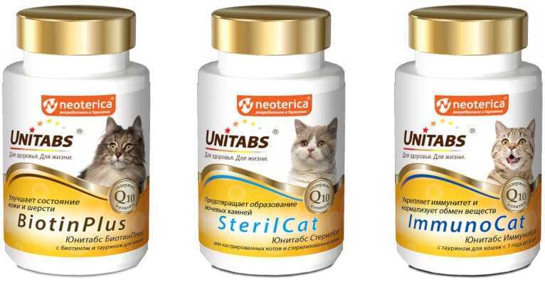 Топ-10 лучших предложений витаминов и добавок для котов и кошек на 2021 год