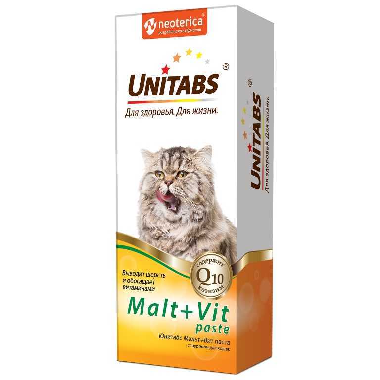 9 лучших витаминов для котят и кошек с кальцием. препараты для иммунитета беременных и пожилых, от выпадения шерсти hokamix, beaphar и др