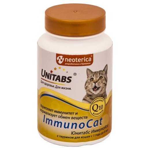 Рейтинг лучших витаминов для кошек и котов 2021 года